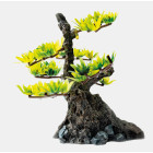 DECORATIE BONSAI XS