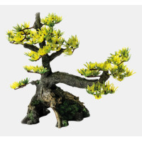 DECORATIE BONSAI S