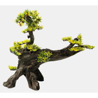 DECORATIE BONSAI M