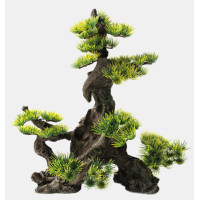 DECORATIE BONSAI L