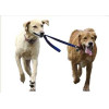 Honden - uitlaten
