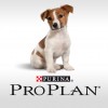 Purina Pro Plan hond