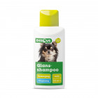 DISCUS GLANSSHAMPOO 300ML