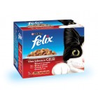 FELIX POUCH VLEESSELECTIE IN GELEI DOOS 12 X 100 GR