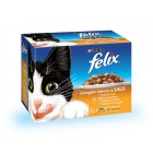 FELIX POUCH GEVOGELTE SELECTIE IN GELEI DOOS 12 X 100 GR