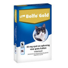BOLFO GOLD DRUPPELS KAT 80 - 2 PIPETTEN
