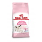 ROYAL CANIN BABYCAT 34 400 GR