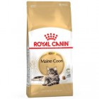 ROYAL CANIN MAINE COON 31 2 KG