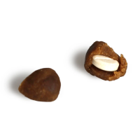 EASYPILL KAT 10 GRAM PER STUK