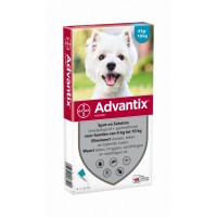 ADVANTIX 100 - 4 PIPETTEN