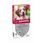 ADVANTIX 250 - 4 PIPETTEN