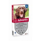 ADVANTIX 400 - 4 PIPETTEN