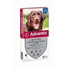 ADVANTIX 400 - 4 PIPETTEN