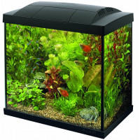 SF AQUARIUM START 30 TROPICAL KIT ZWART