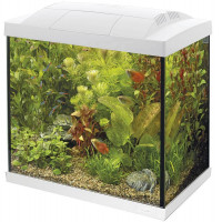 SF AQUARIUM START 50 TROPICAL KIT WIT