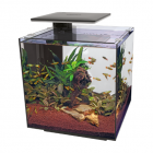 SF QUBIQ AQUARIUM 60 PRO ZWART MET LED-VERLICHTING