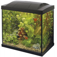 SF AQUARIUM START 50 TROPICAL KIT ZWART