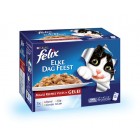 FELIX POUCH SELECTIE IN GELEI DOOS 12 X 100 GR