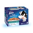 FELIX POUCH ELKE DAG FEEST VIS  IN GELEI DOOS 12 X 100 GR