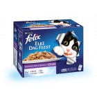 FELIX POUCH SELECTIE IN GELEI DOOS 12 X 100 GR