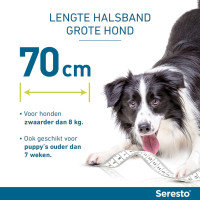 SERESTO BAND HOND VANAF>8KG