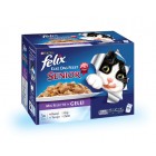 FELIX POUCH SENIOR MIX SELECTIE IN GELEI DOOS 12 X 100 GR