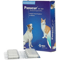 PANACUR ONTWORMINGSTABLETTEN 10ST 500MG