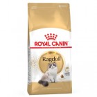 ROYAL CANIN RAGDOLL 10KG