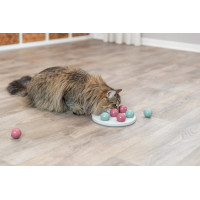 Cat activity Afzonderlijk Strategiespel