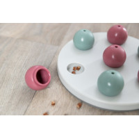 Cat activity Afzonderlijk Strategiespel