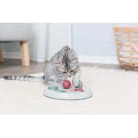 DOG ACTIVITY FLIP BOARD STRATEGIESPEL