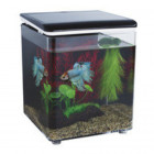 SF  AQUARIUM BETTA 8 ZWART