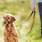 TRAININGSTUIG TOP TRAINER MAAT L - DUITSE HERDER, LABRADOR