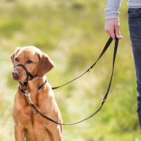 TRAININGSTUIG TOP TRAINER MAAT M - BORDER COLLIE, MIDDENSLAG SCHNAUZER