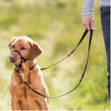 TRAININGSTUIG TOP TRAINER MAAT L - DUITSE HERDER, LABRADOR