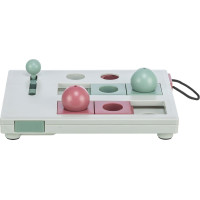 Cat activity Brainstorm Strategiespel