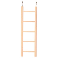 LADDER HOUT - 5 SPORTEN