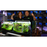 AQUASCAPING