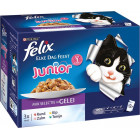 FELIX POUCH JUNIOR VLEES/VIS SELECTIE IN GELEI DOOS 12 X 100 GR