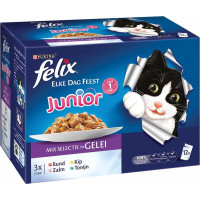 FELIX POUCH JUNIOR VLEES/VIS SELECTIE IN GELEI DOOS 12 X 100 GR