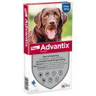 ADVANTIX 400 - 4 PIPETTEN