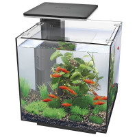 SF QUBIQ AQUARIUM 30 PRO ZWART MET LED-VERLICHTING