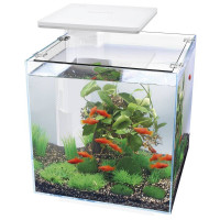 SF QUBIQ AQUARIUM 30 PRO WIT MET LED-VERLICHTING