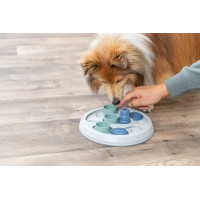 DOG ACTIVITY FLIP & FUN MINI STRATEGIESPEL