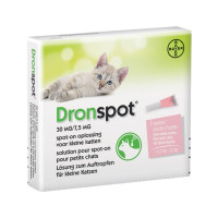 DRONSPOT GROTE KATTEN