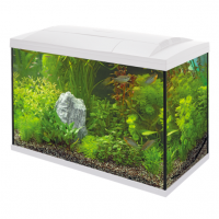 SF AQUARIUM START 150 TROPICAL KIT WIT