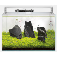 SF SCAPER AQUARIUM 45 