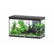 AQUATLANTIS AQUARIUM SPLENDID 100 BIOBOX