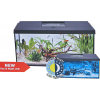 AQUARIUM AQUAEL LEDDY 60 CM ZWART