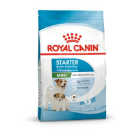 ROYAL CANIN MINI STARTER M & B 8 KG